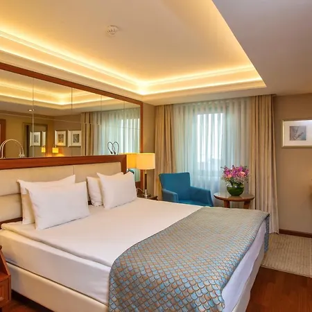 Marigold Thermal & Bursa