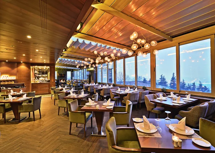 Hotel Marigold Thermal & Bursa